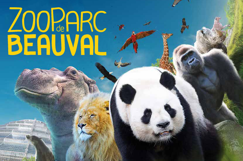 ZooParc de Beauval, à découvrir depuis le Domaine de la Poignardière