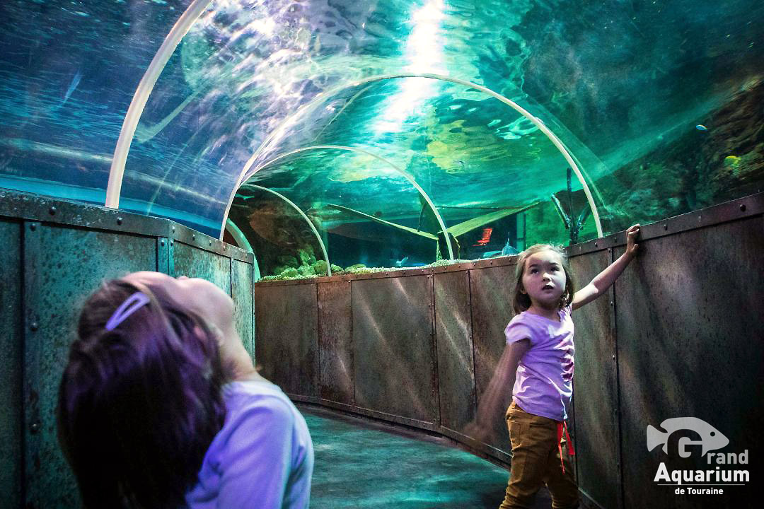 Grand Aquarium de Touraine, à découvrir depuis le Domaine de la Poignardière